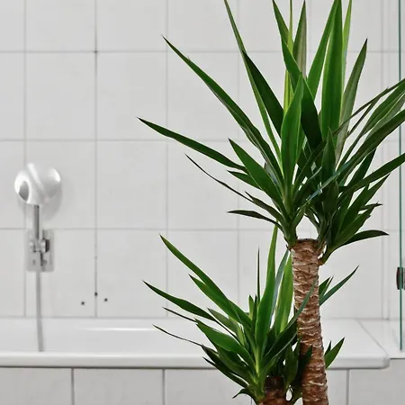 Am Hainich - 6 Personen, King-size-betten, Netflix, Nationalpark 公寓 Horselberg-Hainich