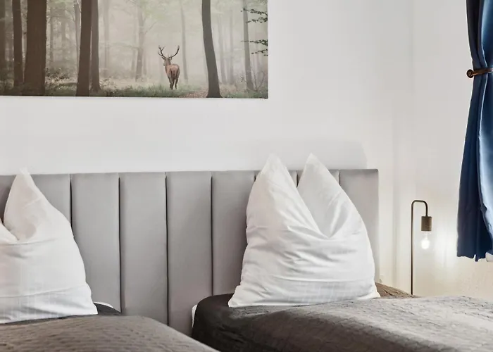 Am Hainich - 6 Personen, King-size-betten, Netflix, Nationalpark Daire