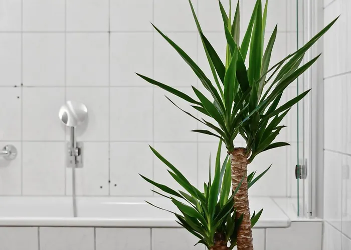 Am Hainich - 6 Personen, King-size-betten, Netflix, Nationalpark Daire Horselberg-Hainich